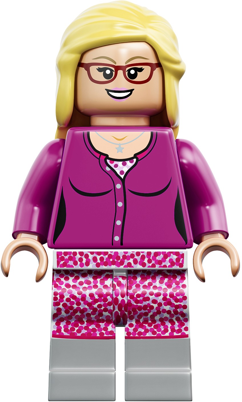 LEGO 21302 Ideas Teoria Wielkiego Podrywu