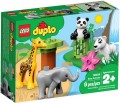 LEGO ® 10904 DUPLO Małe Zwierzątka