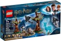 LEGO ® 75945 Expecto Patronum