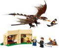 LEGO ® 75946 Rogogon węgierski na Turnieju Trójmagicznym