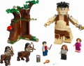 LEGO ® 75967 HARRY POTTER Zakazany Las: spotkanie Umbridge