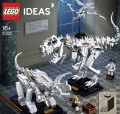 LEGO ® 21320 Ideas Szkielety dinozaurów