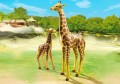 PLAYMOBIL 6640 Żyrafy