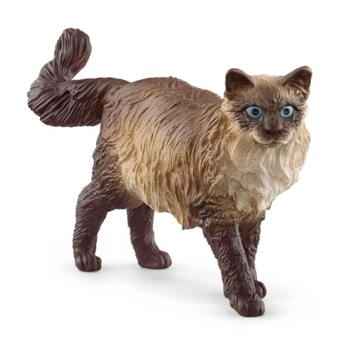 SCHLEICH 13940 Kot rasy ragdoll