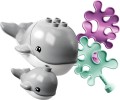 LEGO ® 10972 DUPLO Dzikie zwierzęta oceanów