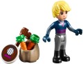 LEGO 41066 Księżniczki Saneczkowa przygoda