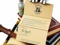 LEGO ® 76391 HARRY POTTER Ikony Hogwartu