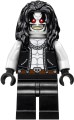 LEGO ® 76096 Superman i Krypto łączą siły