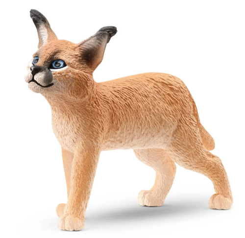 5ff-wild-life-slh14868-mlode.jpg