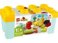 LEGO 10984 Duplo Ogród uprawowy