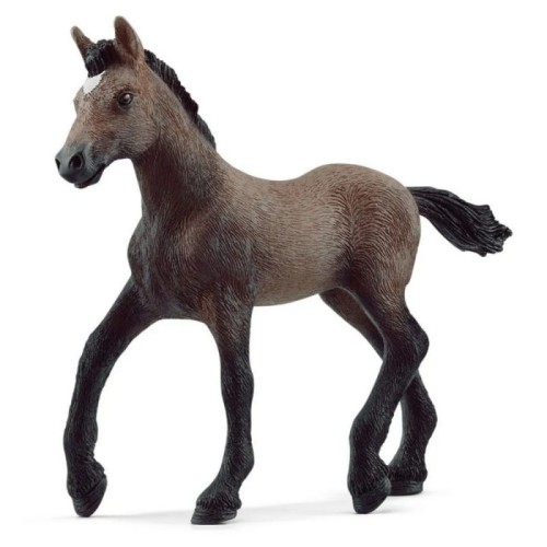 SCHLEICH 13954 ŹREBAK RASY PASO PERUANO.jpg