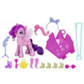 Hasbro F3869 F5251 My Little Magia Cutie Marks Princess Petals (2).jpg