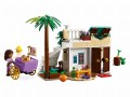 LEGO 43223 Disney Asha w Rosas (4).jpg