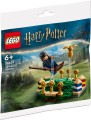 LEGO 30651 Harry Potter Trening quidditcha (1).jpg