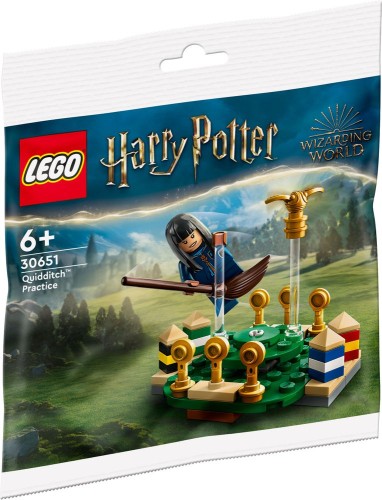 LEGO 30651 Harry Potter Trening quidditcha (1).jpg