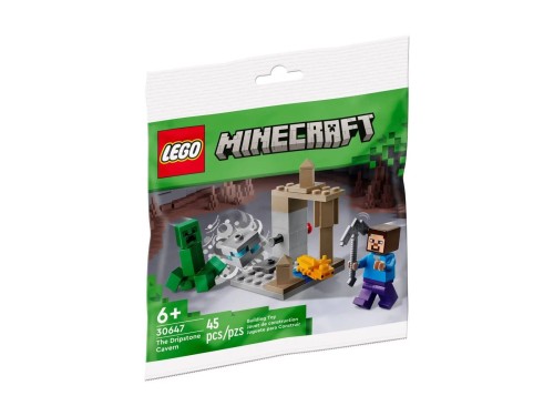 LEGO 30647 Minecraft Jaskinia naciekowa (1).jpg