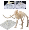 CLEMENTONI 50859 NAUKOWA ZABAWA Mamut skamieniałości (2)