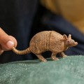 SCHLEICH SLH 14874 WILD LIFE Pancernik (1)