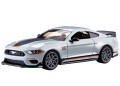 HOT WHEELS Premium 1:43 HMD41 HMD45 Ford Mustang Mach 1 (1)