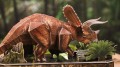 CUBIC FUN DS1052 Puzzle 3D National Geographic Triceratops (4)