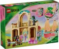 LEGO Wicked 75681