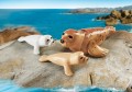 PLAYMOBIL 9069 Foki