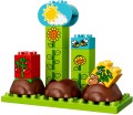 LEGO 10819 Duplo Mój pierwszy ogród