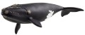 Schleich SLH 14878 WILD LIFE Wieloryb biskajski