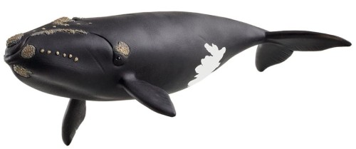 Schleich SLH 14878 WILD LIFE Wieloryb biskajski
