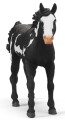 SCHLEICH SLH 14900 HORSE CLUB Wałach Paint Horse