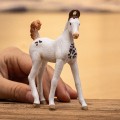 SCHLEICH SLH 14896 HORSE CLUB Źrebak marwari