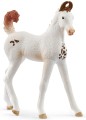 SCHLEICH SLH 14896 HORSE CLUB Źrebak marwari