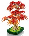LEGO Botanicals 10348 Klon palmowy bonsai