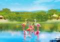 PLAYMOBIL 6651 Flamingi
