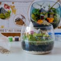 Clementoni 19248 HARRY POTTER Terrarium