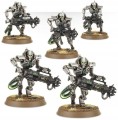 Warhammer 40000 49-10 NECRONS: IMMORTALS