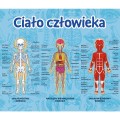 Trefl - Ciało człowieka