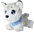 CHI CHI LOVE - HAPPY HUSKY 25409