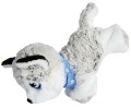 CHI CHI LOVE - HAPPY HUSKY 25409