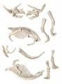 Clementoni 50860 Skamieniałości - Triceratops