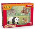 Schleich SLH 42736 WILD LIFE  Zestaw startowy „Azja”