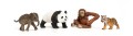 Schleich SLH 42736 WILD LIFE  Zestaw startowy „Azja”