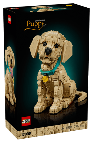 LEGO Icons 11384 Szczeniak golden retriever