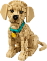 LEGO Icons 11384 Szczeniak golden retriever