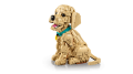 LEGO Icons 11384 Szczeniak golden retriever