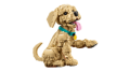 LEGO Icons 11384 Szczeniak golden retriever