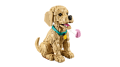 LEGO Icons 11384 Szczeniak golden retriever