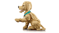 LEGO Icons 11384 Szczeniak golden retriever