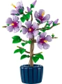 LEGO Botanicals 10372 Hibiskus