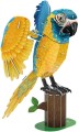 CUBIC FUN DS1097H Puzzle 3D NATIONAL GEOGRAPHIC Ara szafirowa